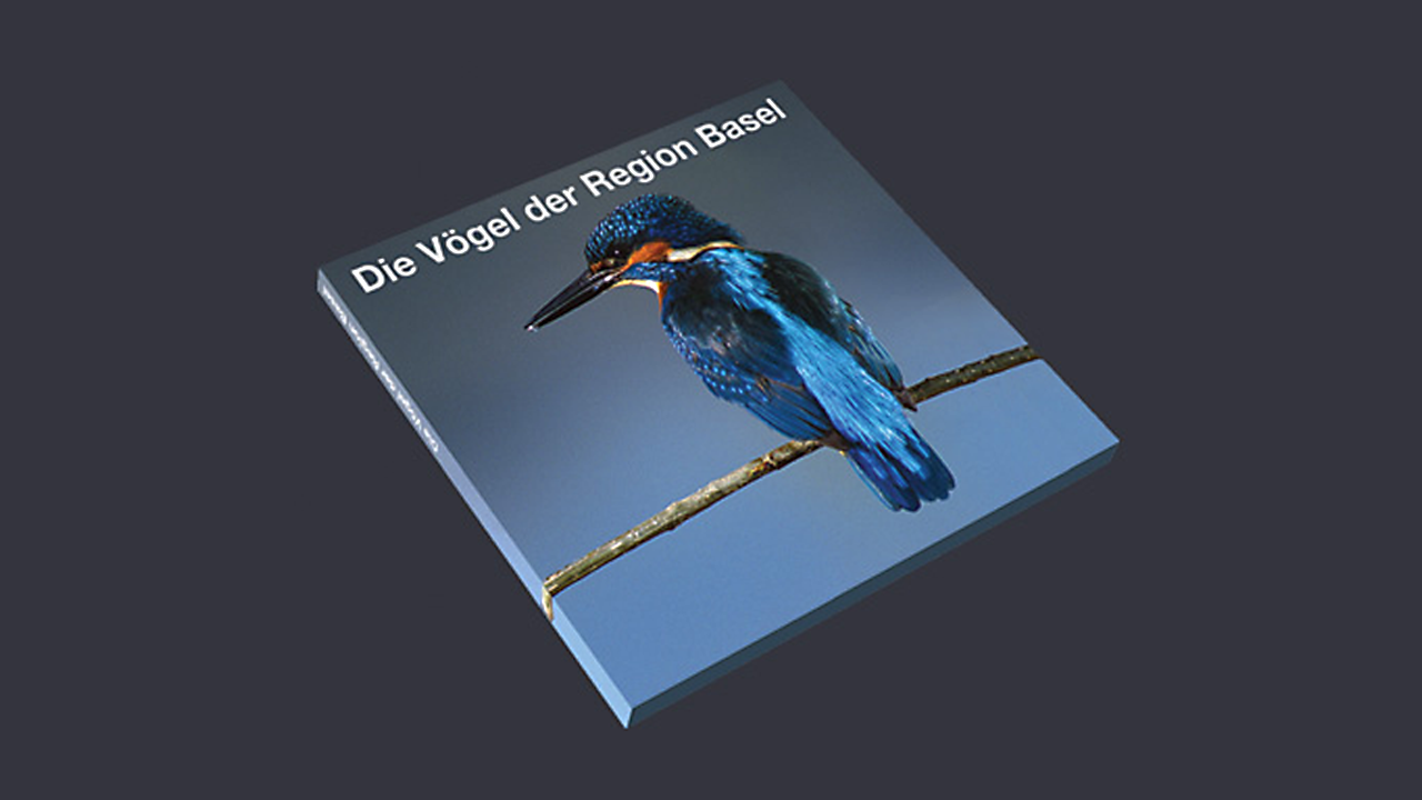 CD-ROM Die Vögel der Region Basel – CD-ROM Hülle Umschlag